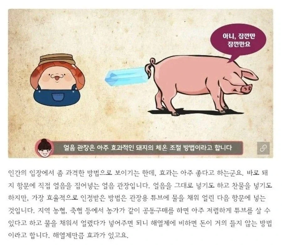 흔한 국립공원의 자연경관 훼손 이미지 2