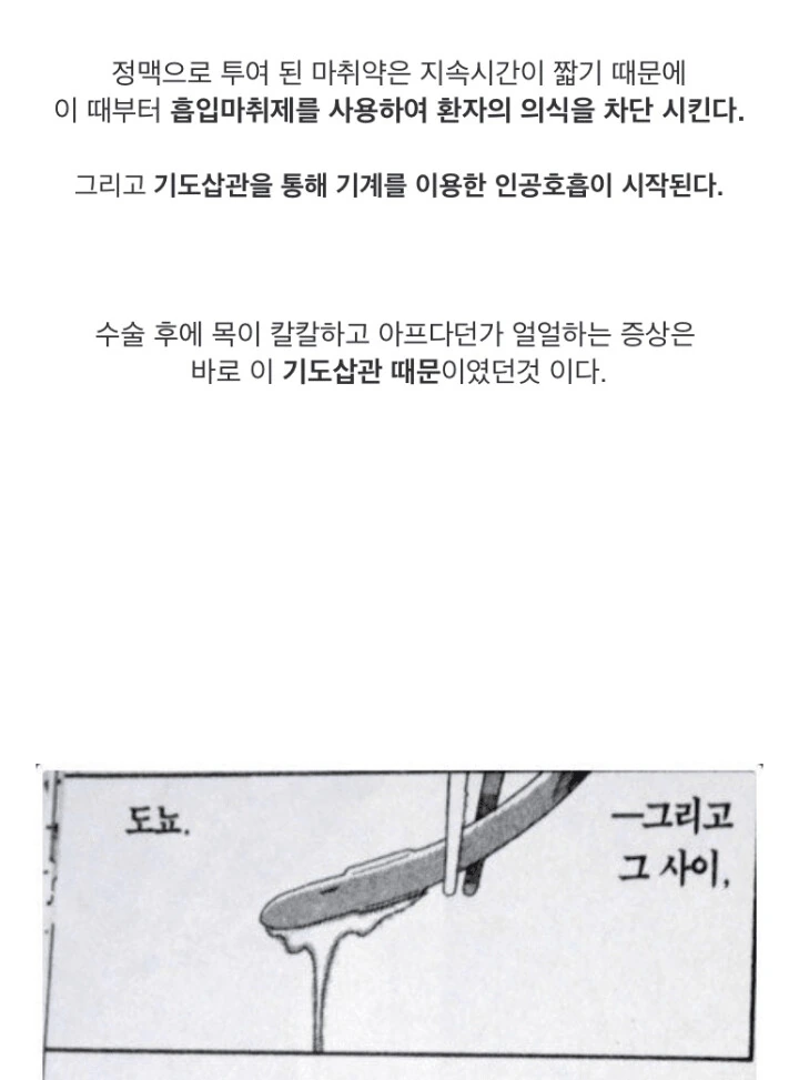 manga_2164736_011.webp