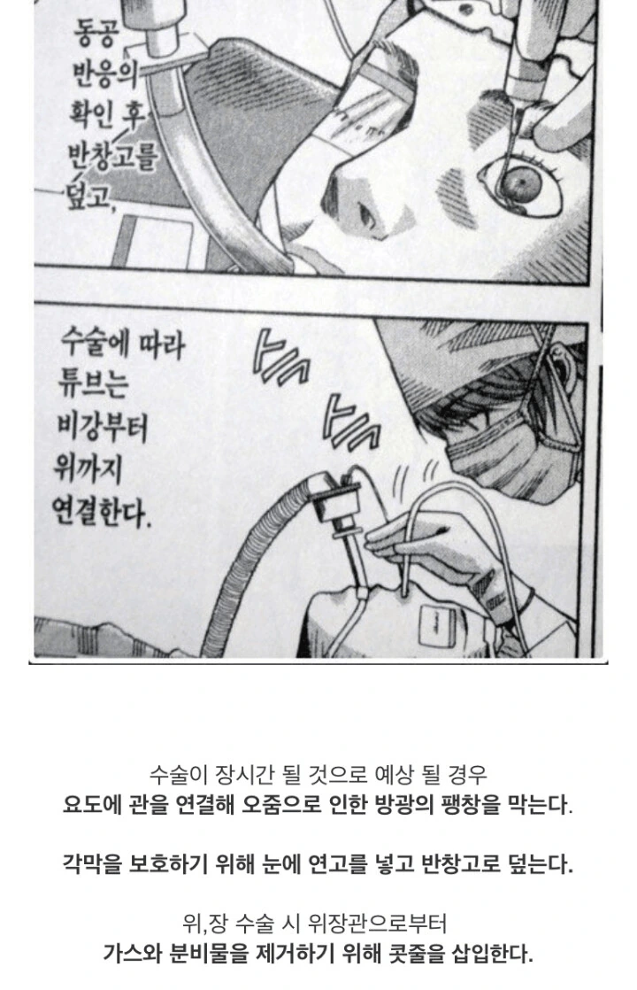 manga_2164736_012.webp