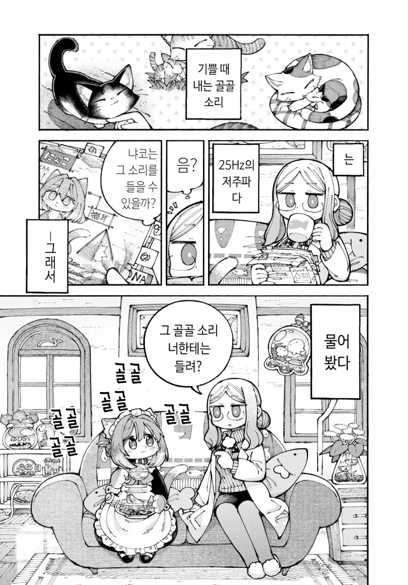[아야카시트라이앵글]큰 결심을 하는 마츠리 대표 이미지