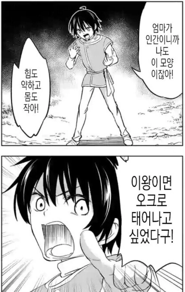 manga_2784492_003.webp