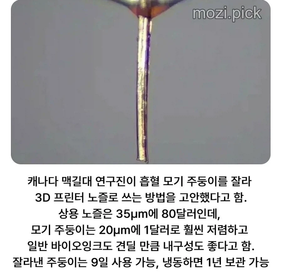 대충 카페베네 로고 뜨기 5초 전 이미지 2