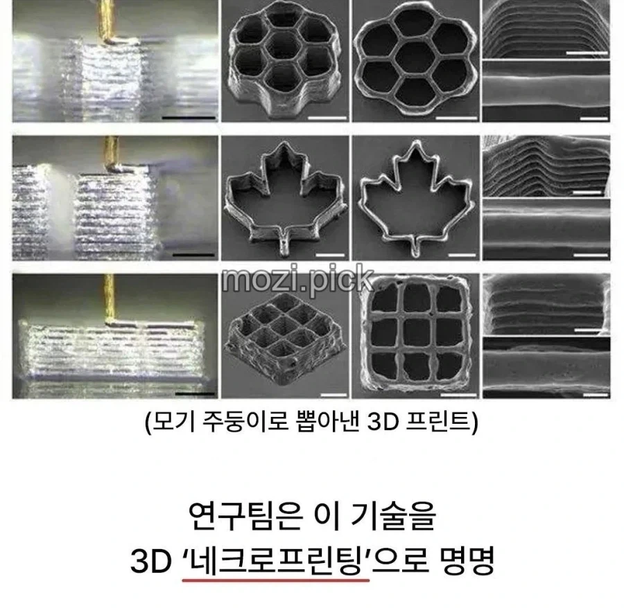 모기를 활용하기 시작한 인류.jpg_2.webp