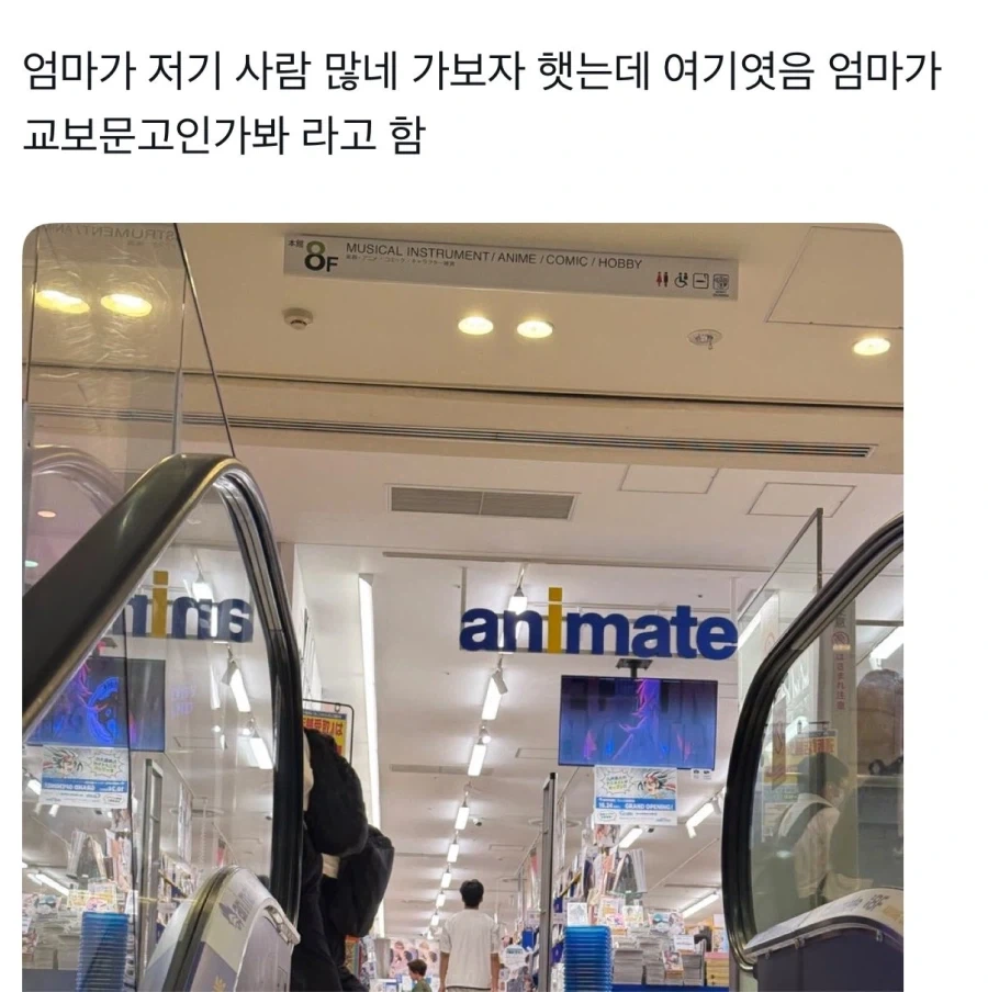 폭스바겐 골프의 비밀 이미지 5