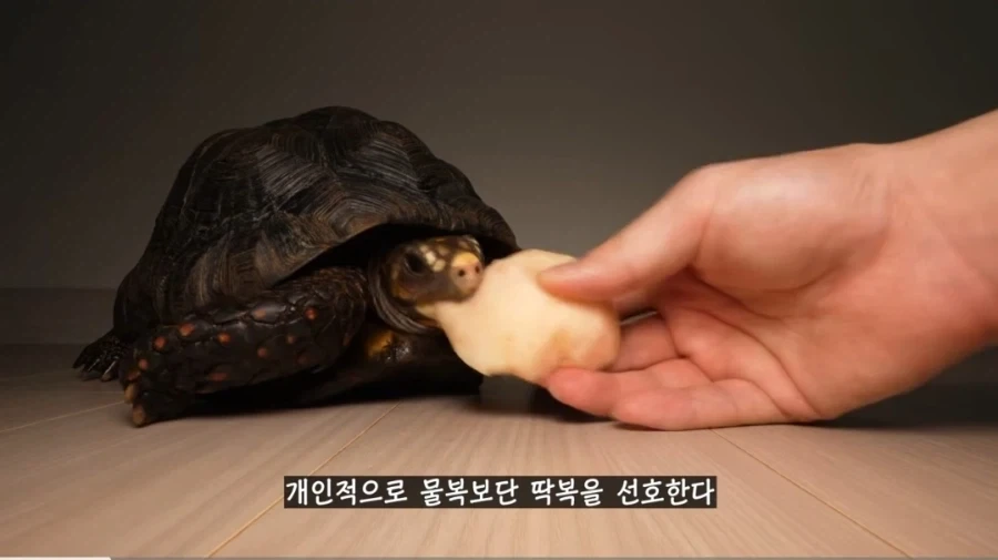 가슴 올려 본다 이미지 3
