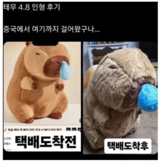 트릭컬) 어려운 결심을 해버린 글섭교주 대표 이미지