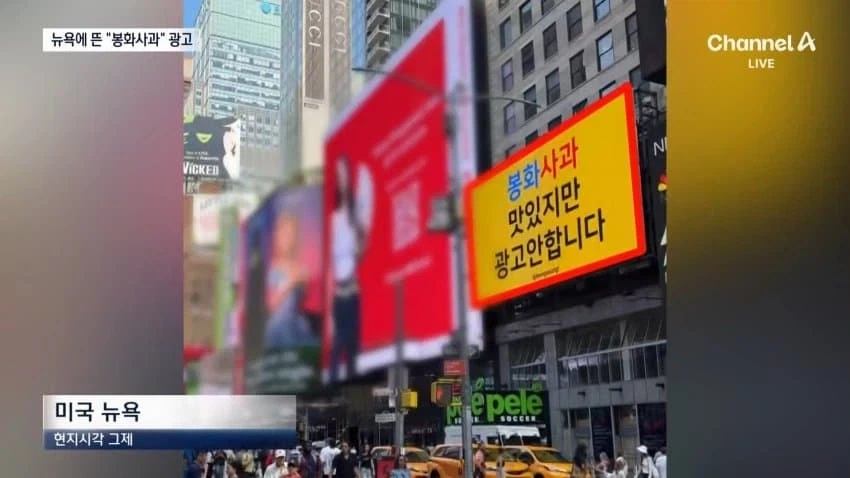 "광고 안합니다"..뉴욕 뜬 역발상 봉화 사과 광고 이미지 2