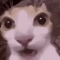 AI 개소리 레전드..........................._4.webp