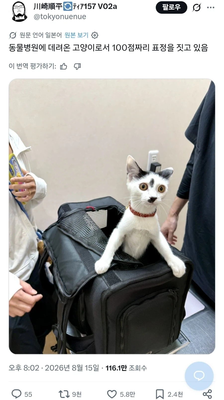 유명인 사칭 스캠 돌고 있다함 ㄷㄷ;;; 대표 이미지