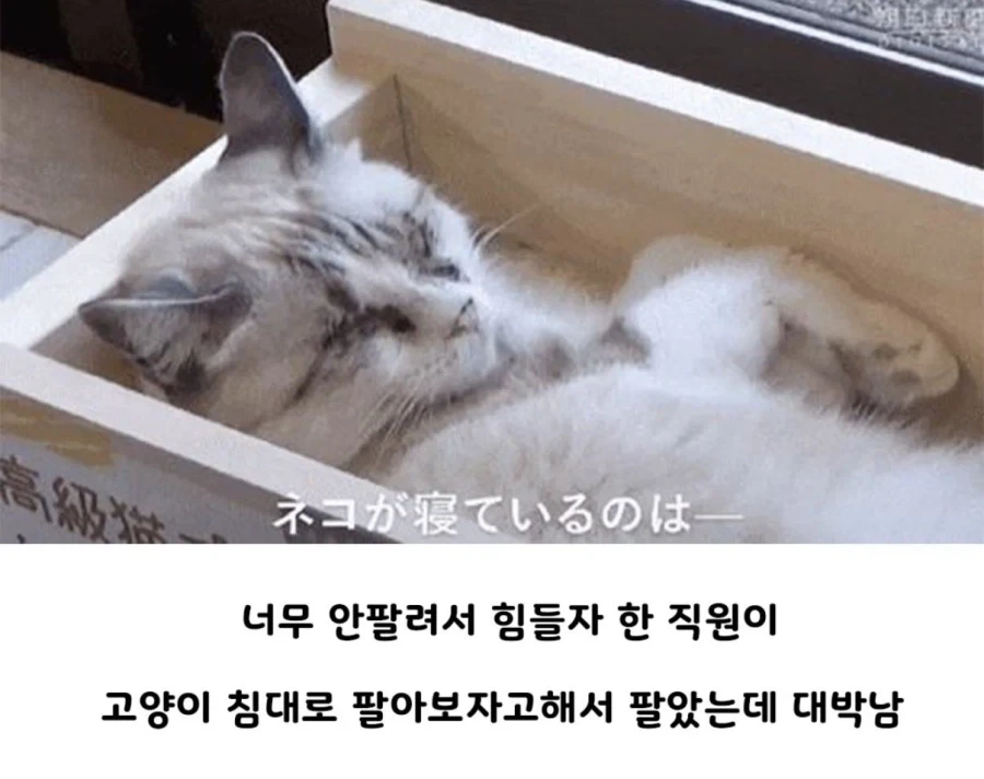 발상의 전환으로 위기를 기회로 바꾼 중소기업 상품_2.webp
