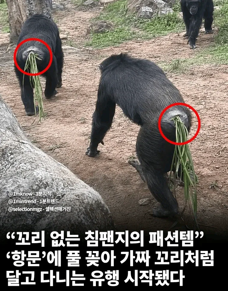 드퀘 최종보스는 ㅈ밥 같아야 한다 이미지 3
