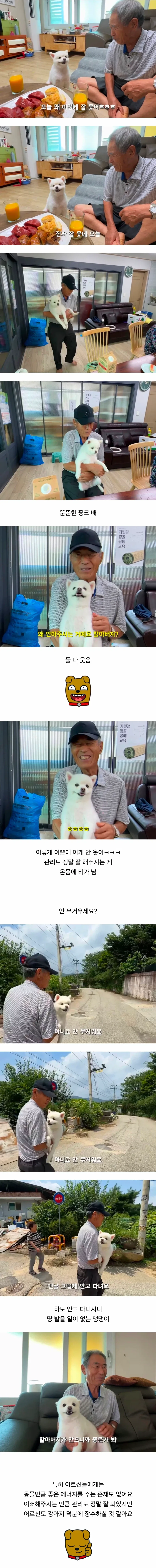 양궁부가 바바리맨 잡는 방법.jpg 대표 이미지