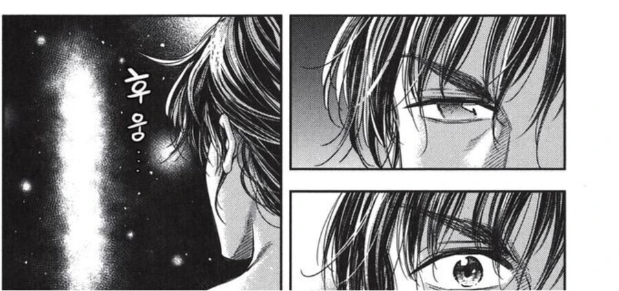 manga_3037740_012.webp