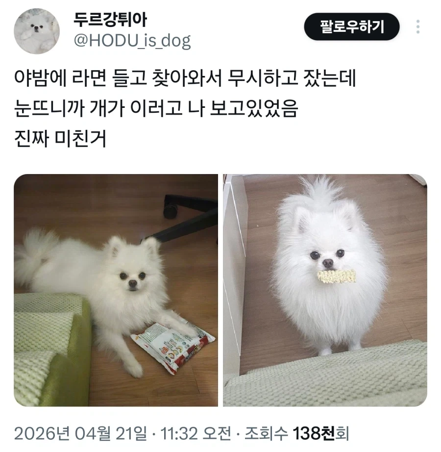 벌써 9년이나 된 광복절 관련 사건 대표 이미지