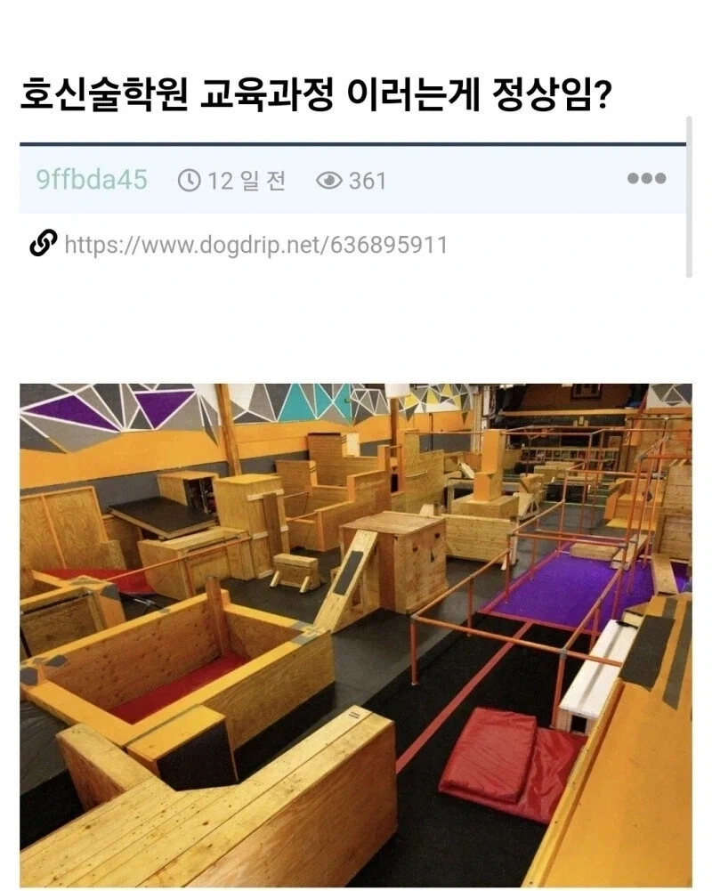 헌터X헌터 키메라엔트편 도입부 이미지 3