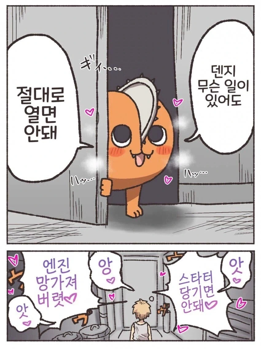 의외로 실존하는 돼지들의 아일랜드.jpg 이미지 2