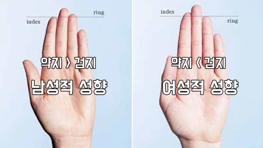 안노 히데아키 : 떡밥 좋아하는 사람들이 줄어들고 있다 이미지 4