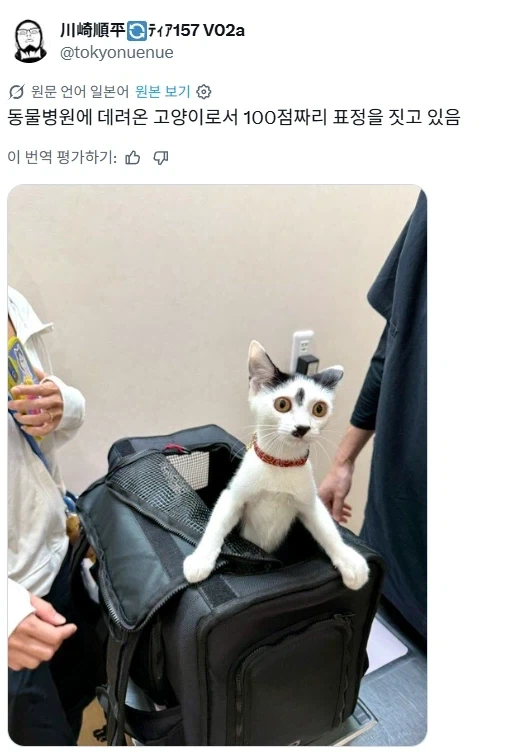 문신 망함 jpg. 이미지 2
