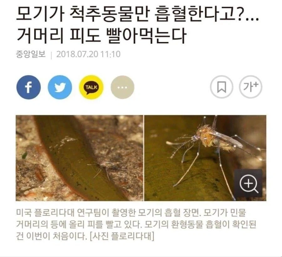 인간에게 잘해주는 엘프들의 사악한 속내 이미지 6