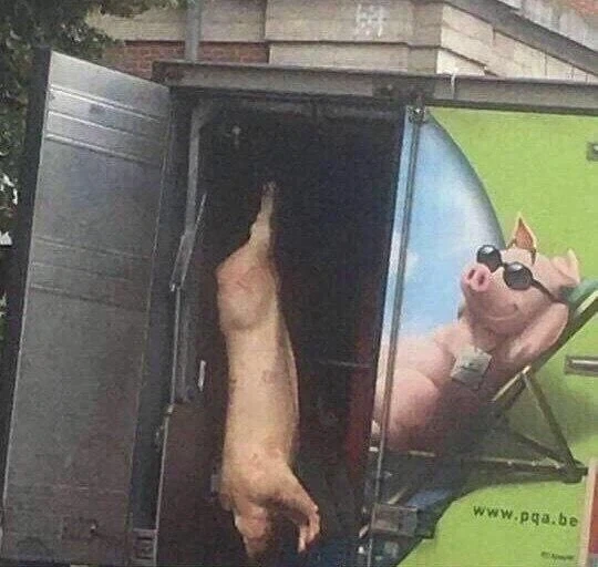 훈이가 훈발놈 짓을 해도 무죄인 이유.jpg 대표 이미지