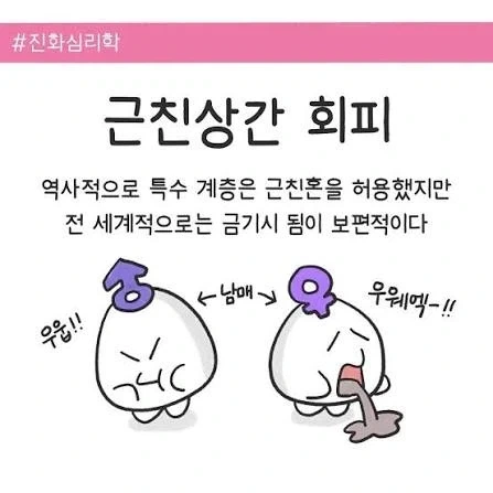 테토녀의 댓글.jpg 대표 이미지