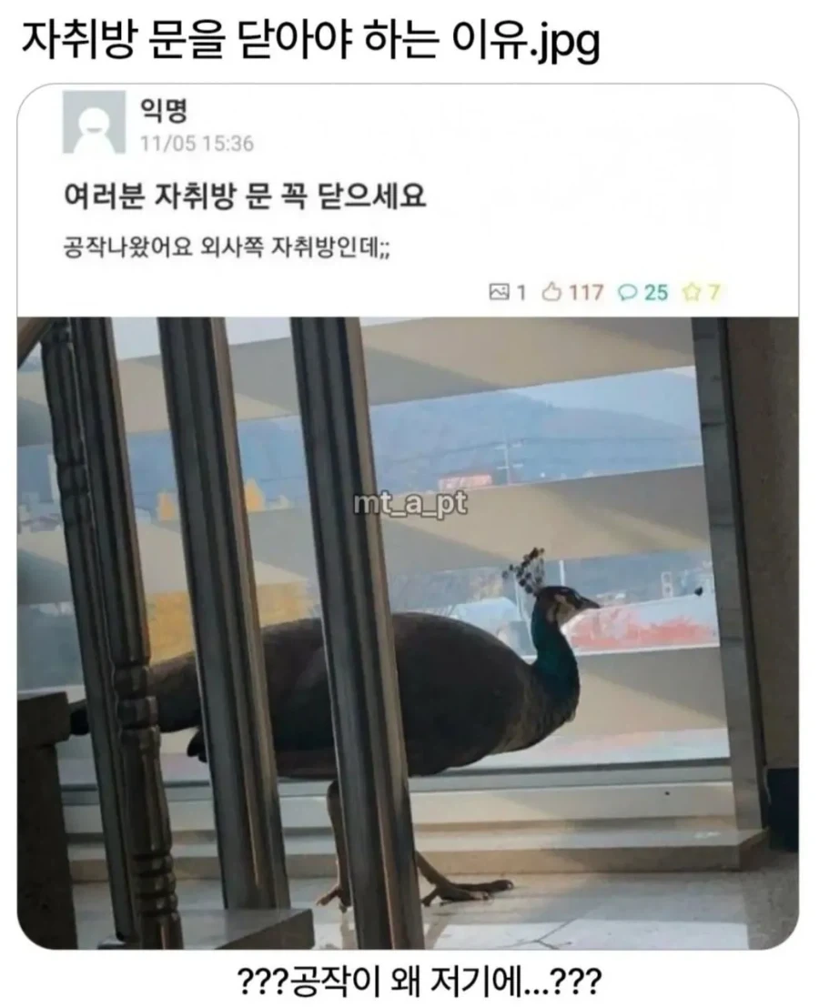 양아치들한테서 도와주면 받는 보상.jpg 이미지 9