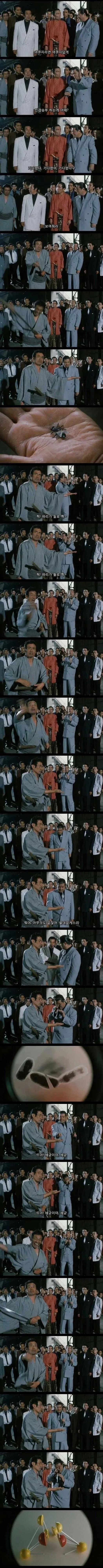 뭐하는놈임 이건 대표 이미지