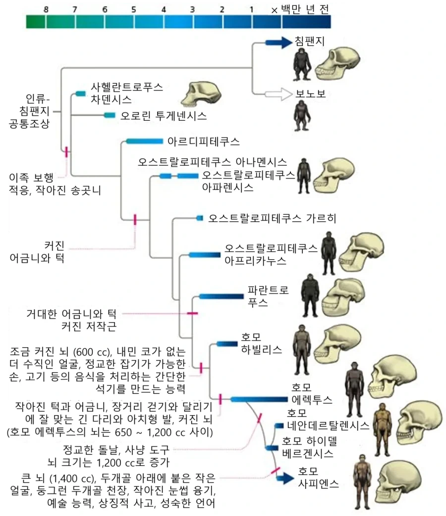편의점 점장의 다급한 문자.jpg 이미지 2