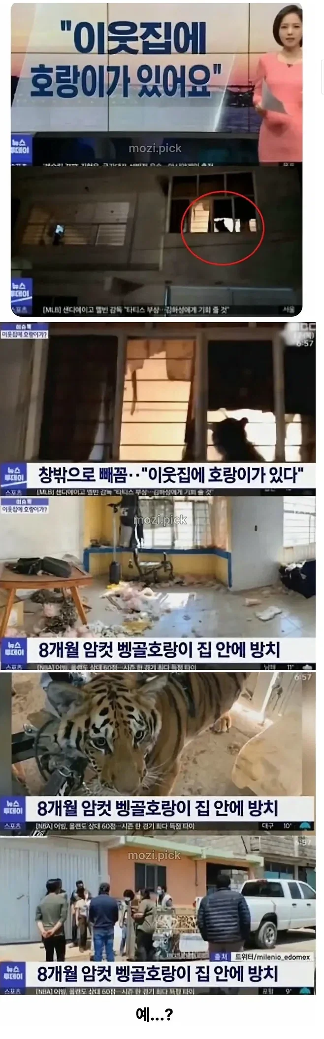 순수 체급 자연산 히틀러.jpg 대표 이미지
