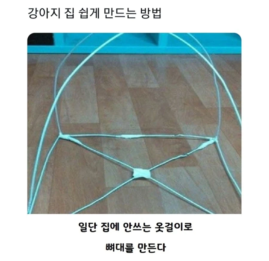디카프리오 야스 루틴 이미지 6