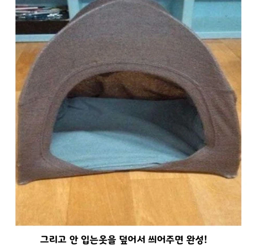 강아지 집 쉽게 만드는 방법_2.webp