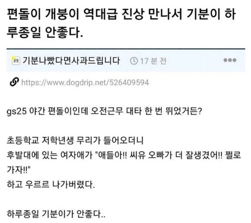 천국에 가면 강아지들이 마중 나온다는 얘기가 있다 이미지 4