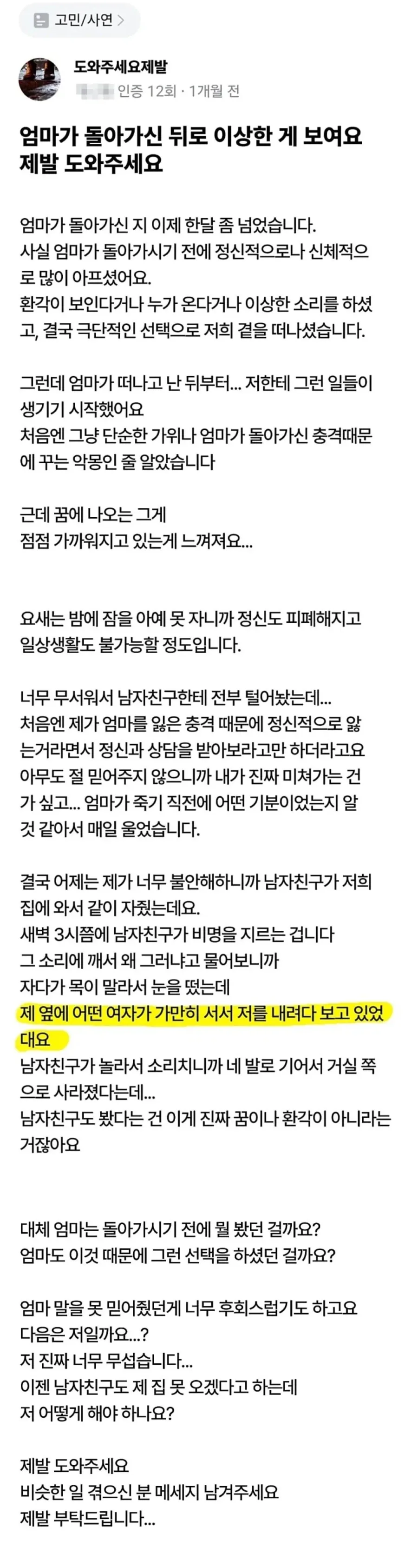 천국에 가면 강아지들이 마중 나온다는 얘기가 있다 대표 이미지
