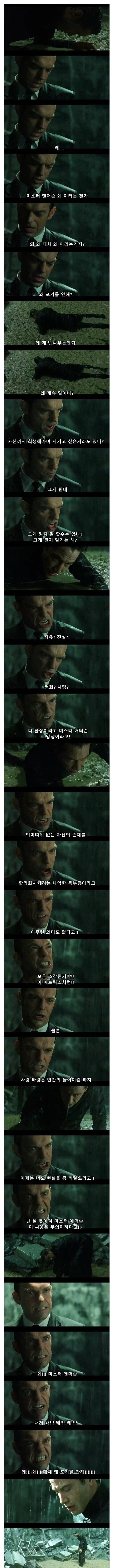 여기서 몇 개나 해봤어?? 대표 이미지