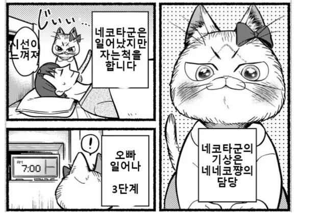 manga_830309_003.webp