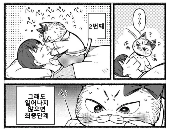 manga_830309_004.webp