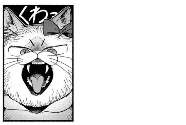 manga_830309_005.webp