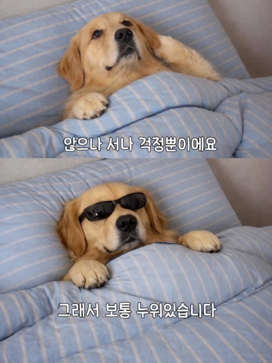 이게 라스트오리진인가 그건가 대표 이미지