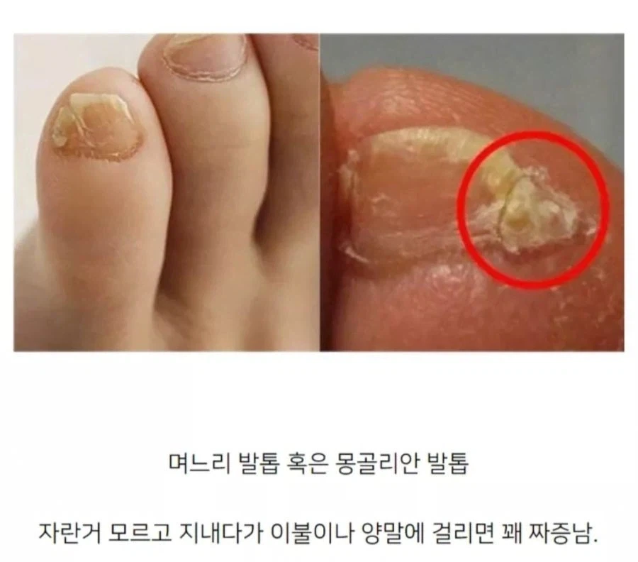 누나방에서 나온 T팬티 이미지 5