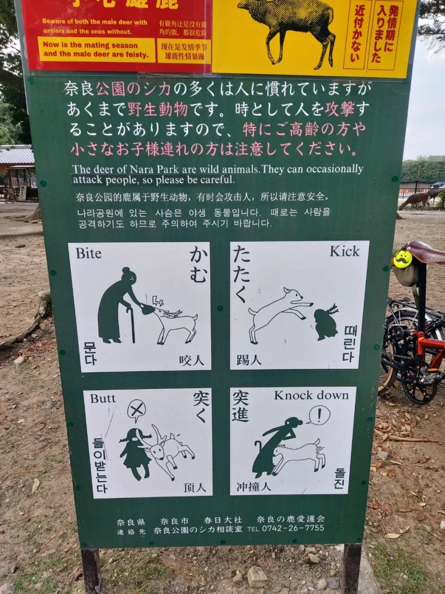 의외로 비와도 배달 시켜도 문제 없는 이유 이미지 2