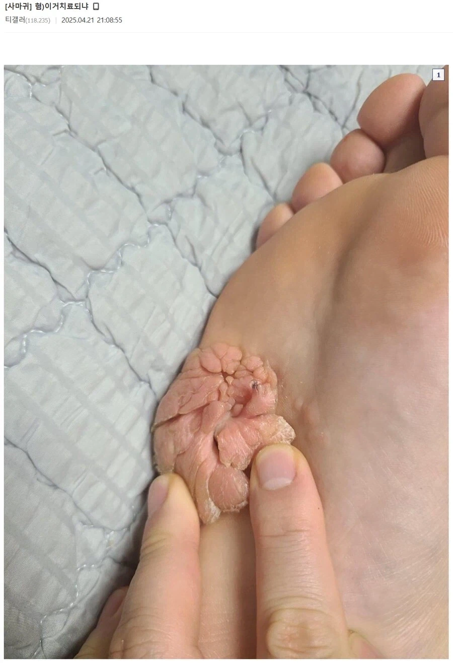 양아치들한테서 도와주면 받는 보상.jpg 대표 이미지