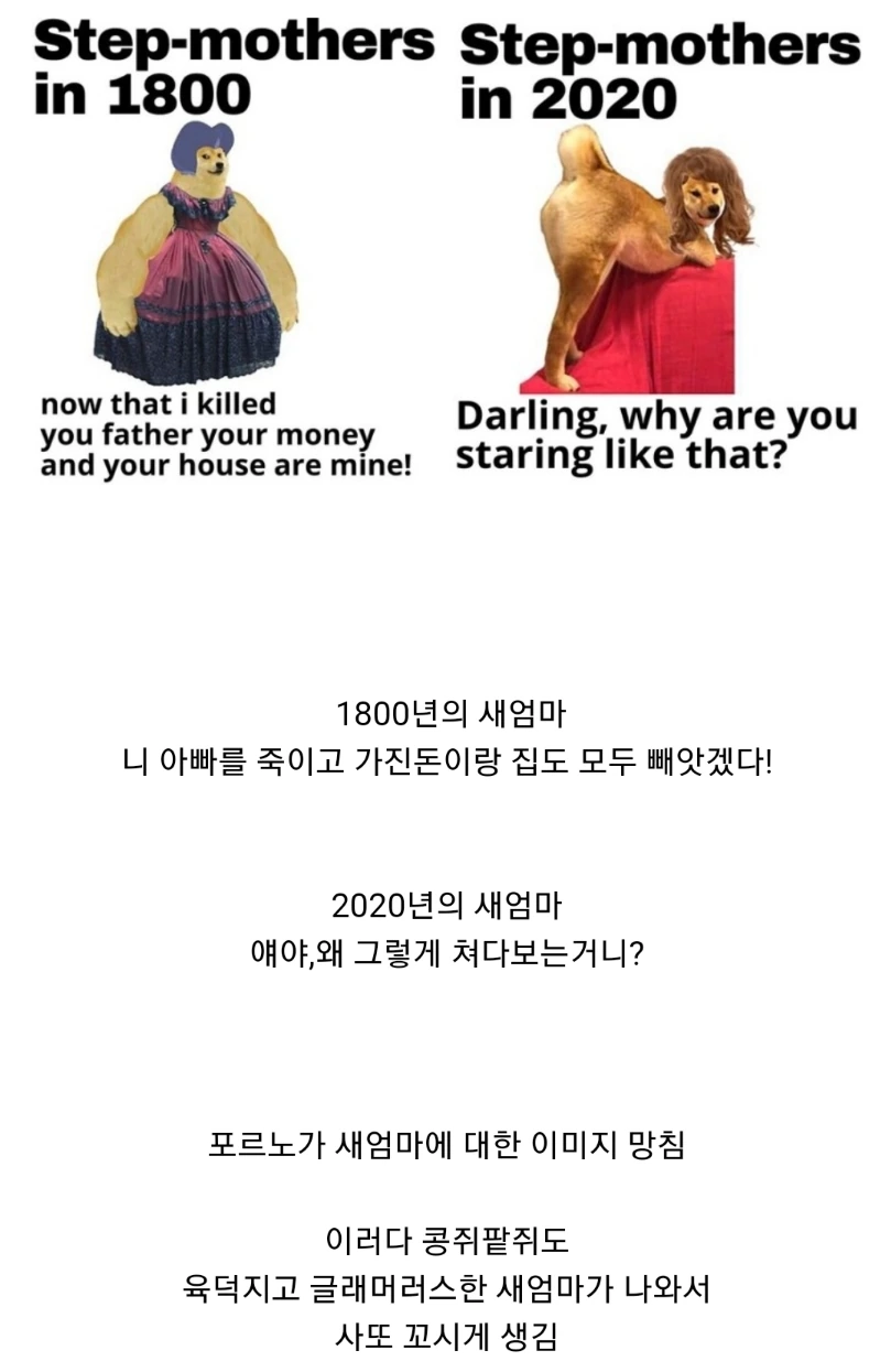 오토바이, 차량 주인의 태풍 대비 대표 이미지