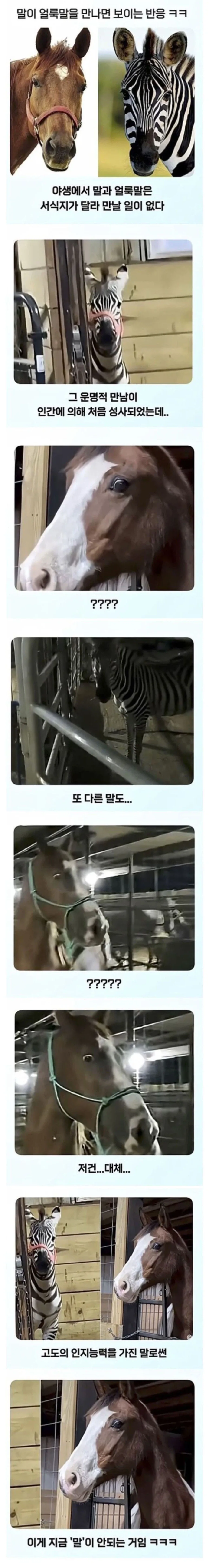 의외로 조선사 역사연구의 특이점중 하나였던 기록 이미지 3