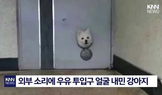 의외로 조선사 역사연구의 특이점중 하나였던 기록 대표 이미지