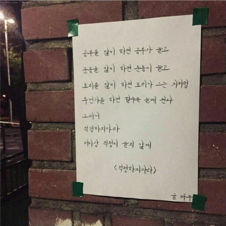 와! 물이 정말 얕다 수근아, 들어와바라! 대표 이미지