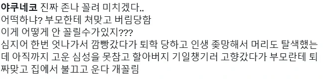 [담배고양이] 야쿠네코에 대해 대립하는 각국사람들_3.webp