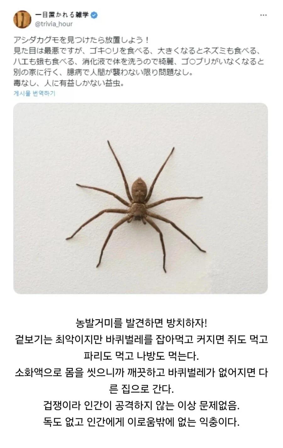이성애자 여장러가 호모타락 할 때 까지 이미지 2
