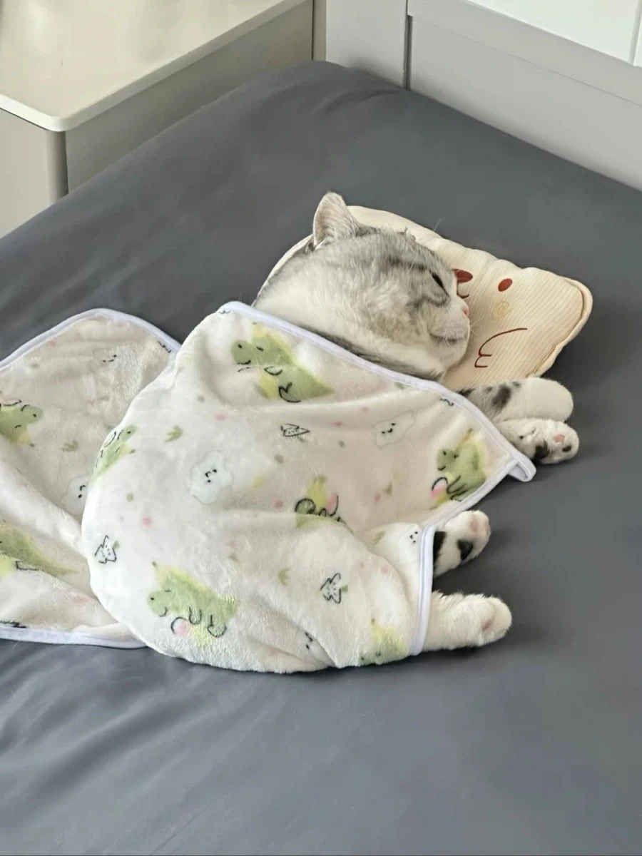귀요미 뚠냥이..._3.webp