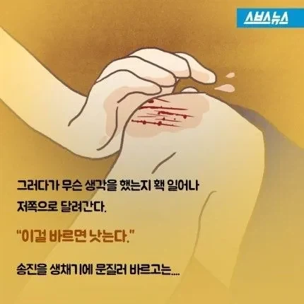 소설 소나기에서 소녀가 사망한 이유.jpg_3.webp