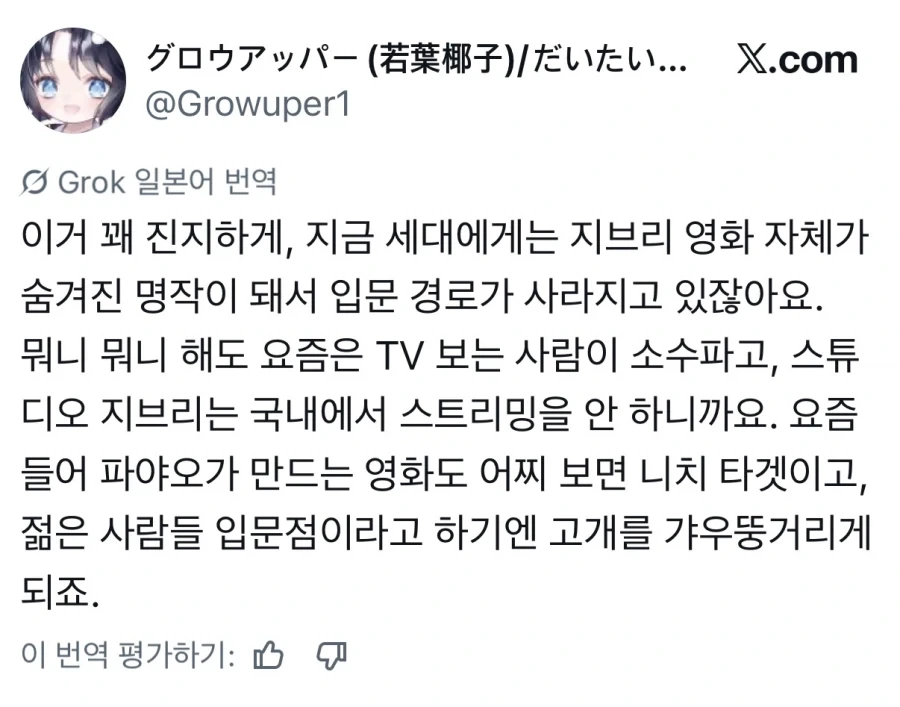 지브리 영화가 숨겨진 명작 취급 받아서 충격먹은 일본_2.webp